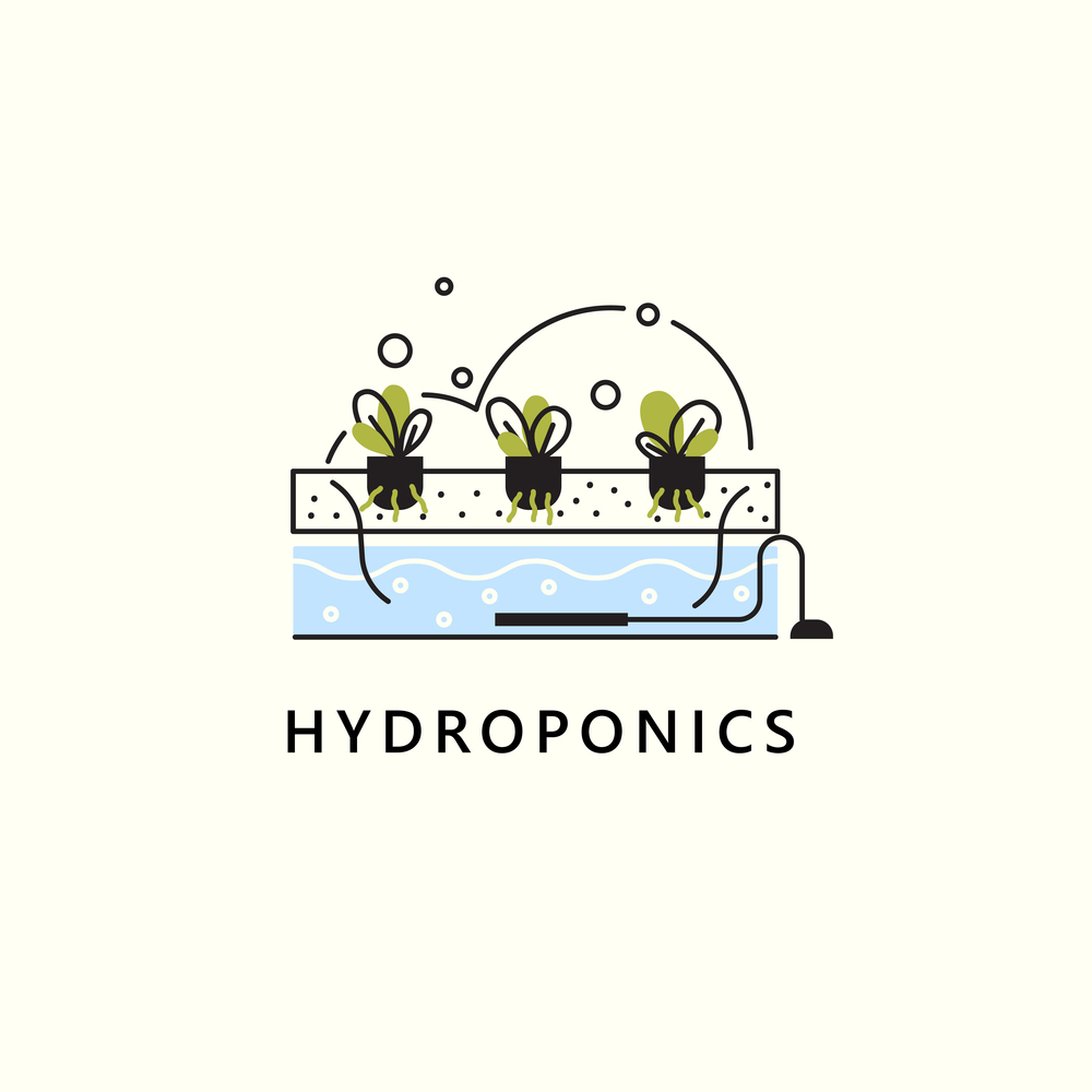 Hydroponics.